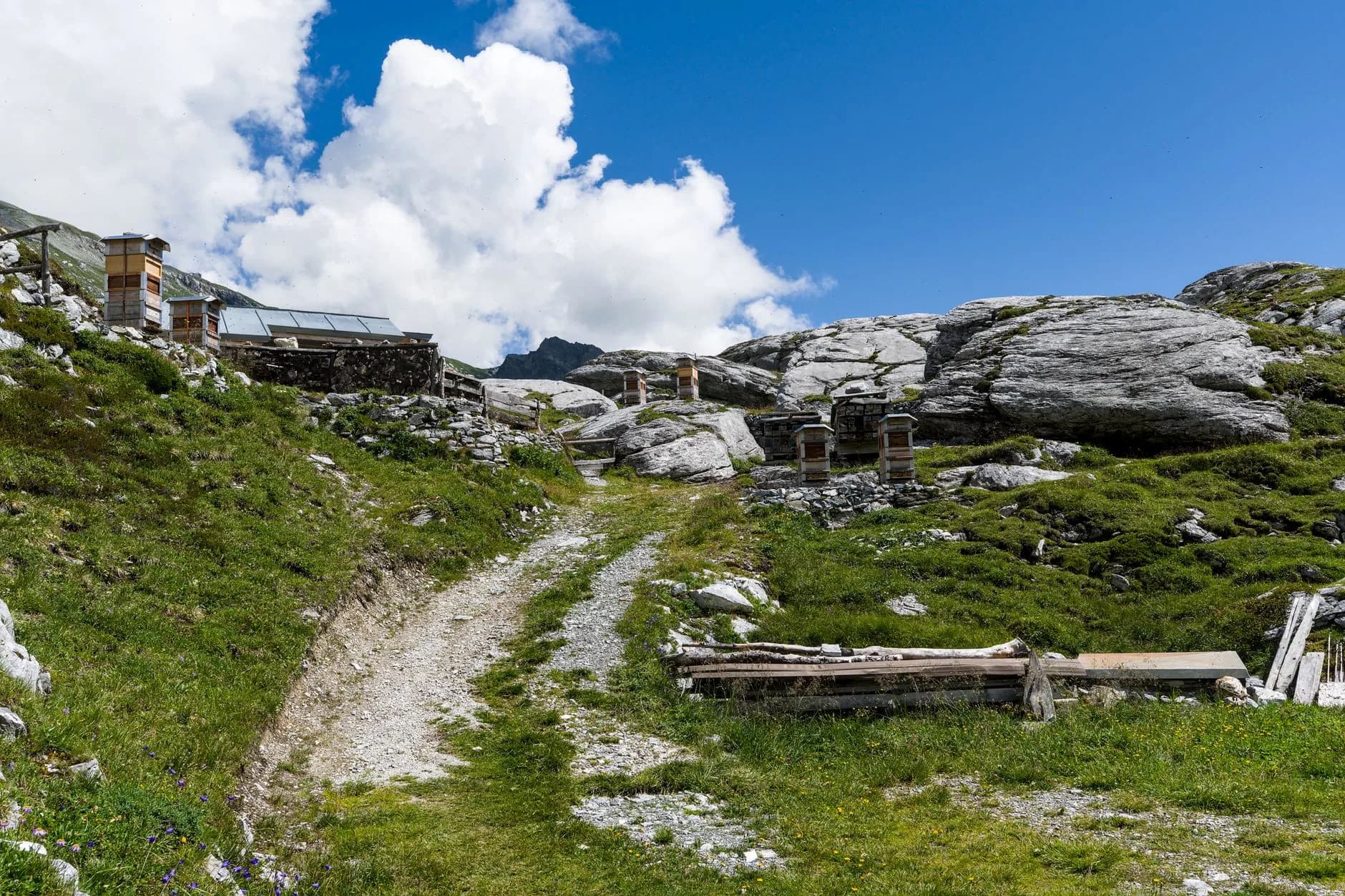 Beehives nestled in rocky Swiss Alps under a bright blue sky. · Фото: Jean-Paul Wettstein / Pexels